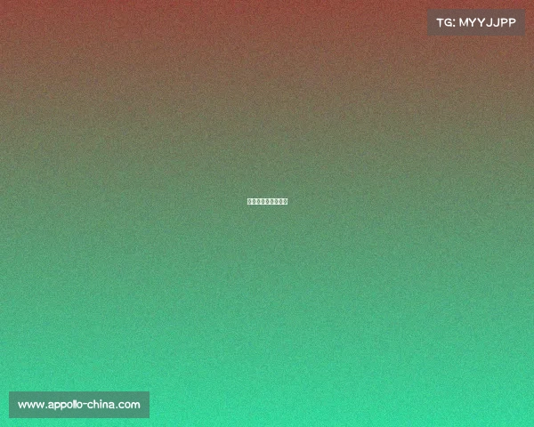 沙洋马拉松官方网站