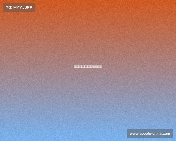 申办全国赛事的申请—关于赛事的申请格式